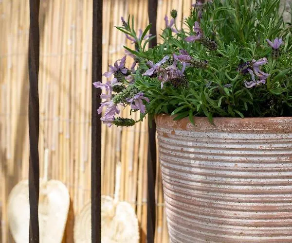 Σπίτι διακοπών Maison Dans Les Arbres, Spa, Tennis, Parking *